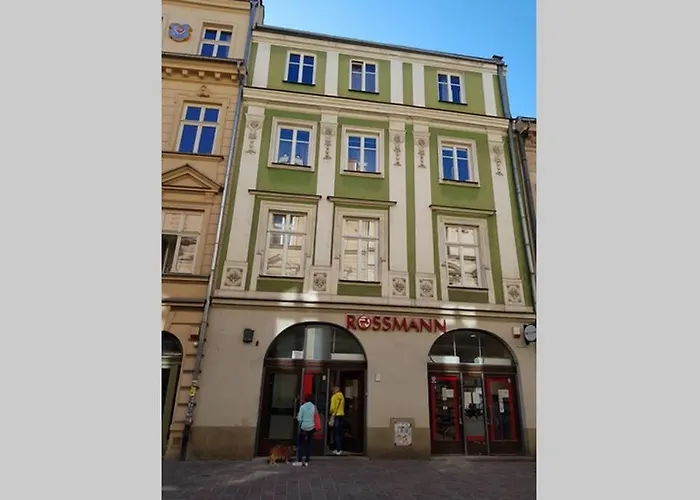 Cozy Modern Studio Green Apartment In Old Town